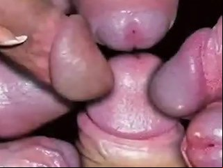 TXXX @ Sissy Drag Trainer Gifs